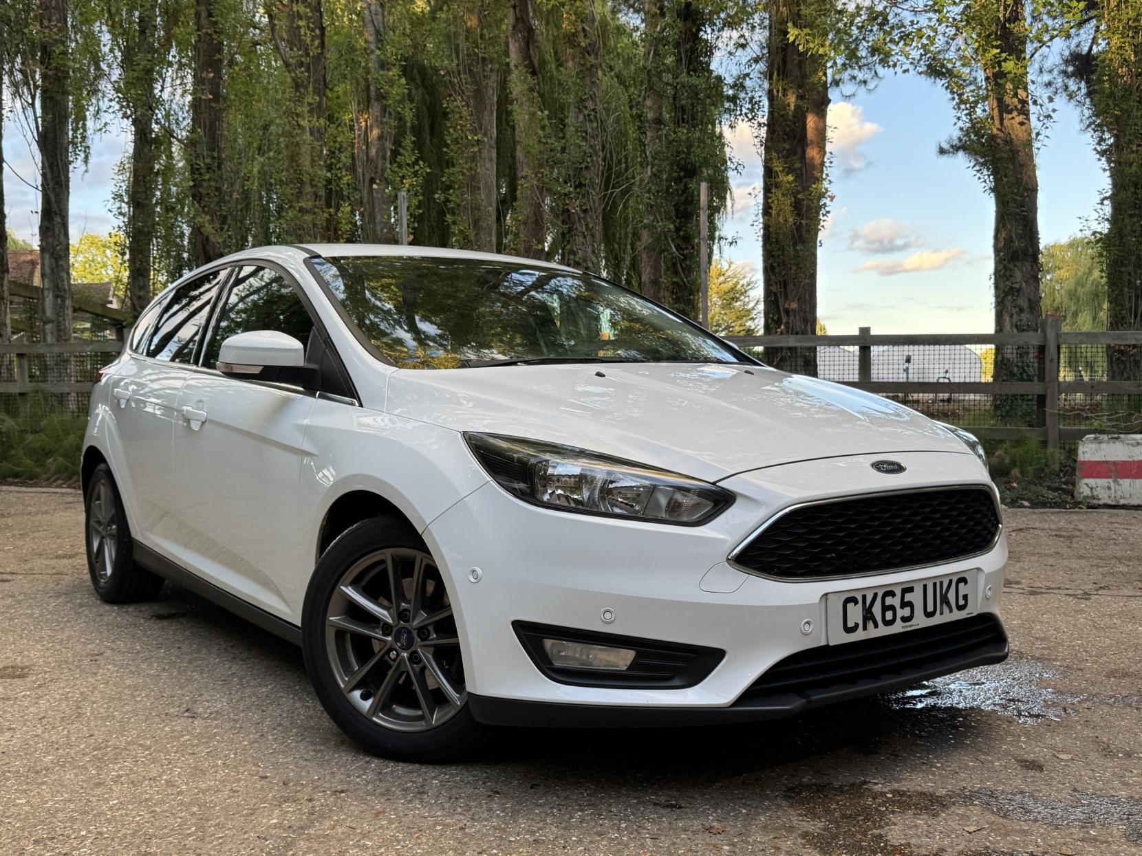 Ford Focus 1.0T EcoBoost Zetec Hatchback 5dr Petrol Manual Euro 6 (s/s) (125 ps)