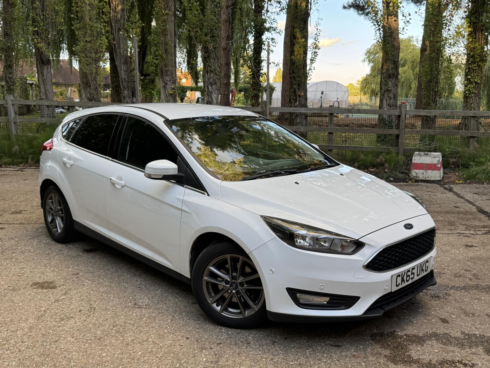 Ford Focus 1.0T EcoBoost Zetec Hatchback 5dr Petrol Manual Euro 6 (s/s) (125 ps)