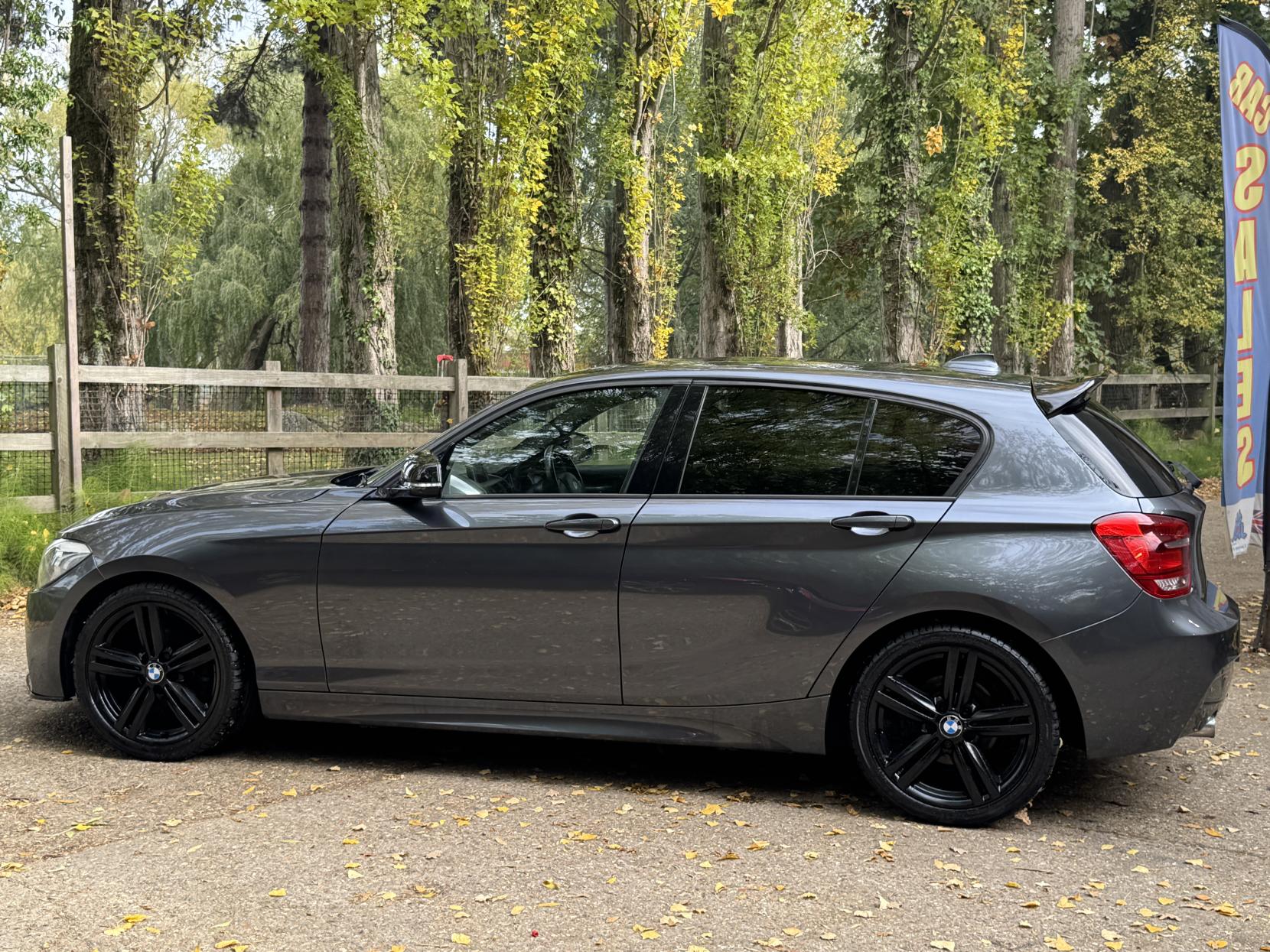 BMW 1 Series 1.6 116i M Sport Hatchback 5dr Petrol Manual Euro 5 (s/s) (136 ps)