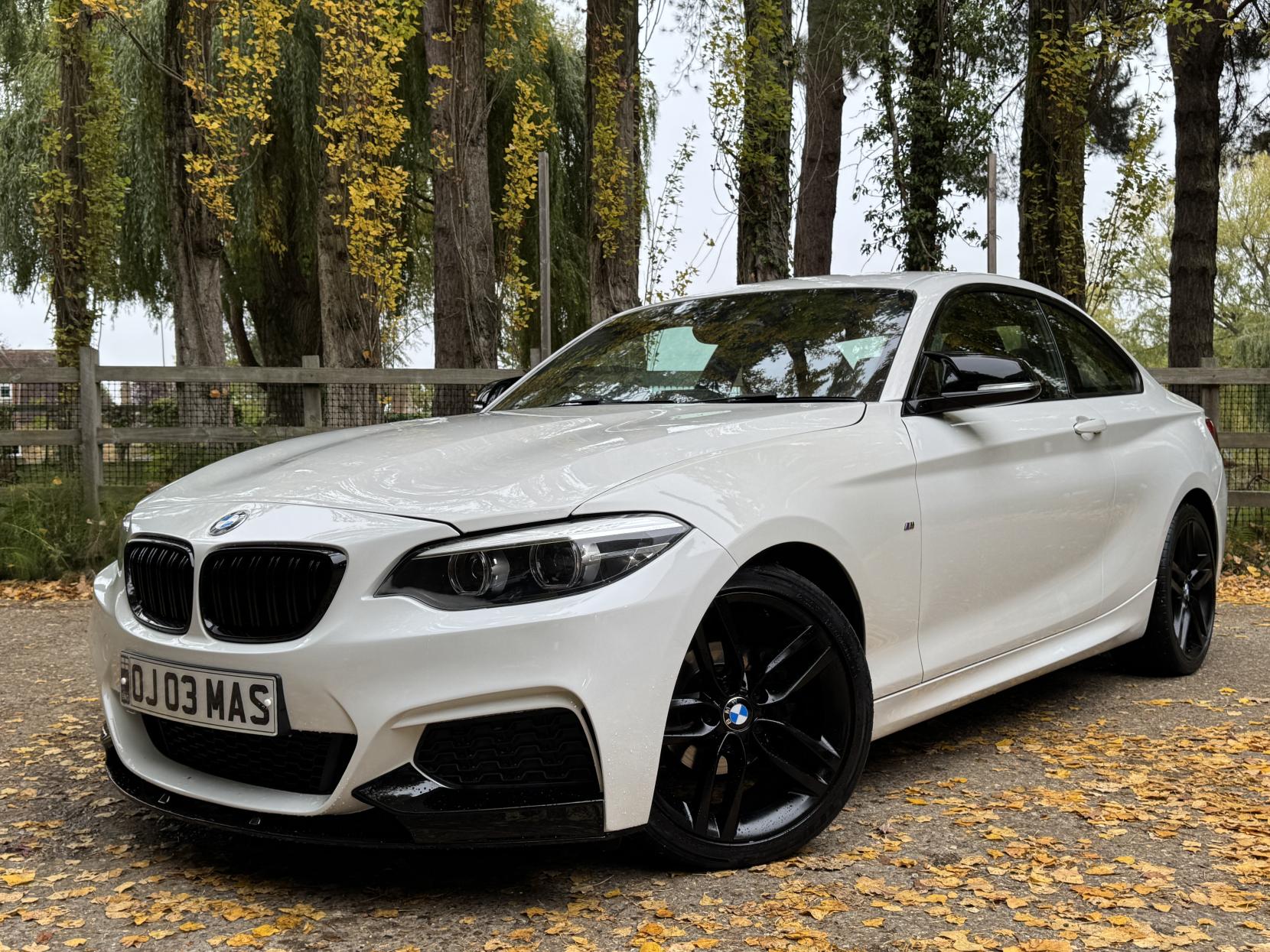 BMW 2 Series 1.5 218i M Sport Coupe 2dr Petrol Auto Euro 6 (s/s) (136 ps)