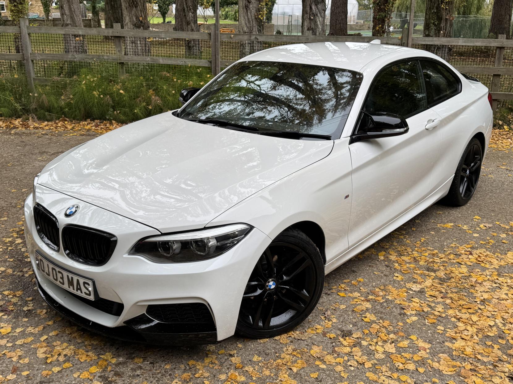 BMW 2 Series 1.5 218i M Sport Coupe 2dr Petrol Auto Euro 6 (s/s) (136 ps)