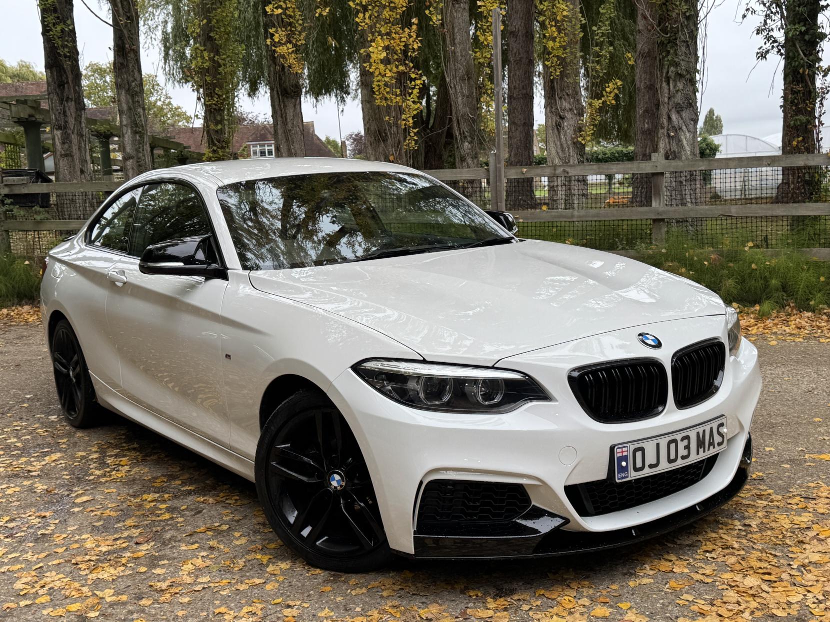 BMW 2 Series 1.5 218i M Sport Coupe 2dr Petrol Auto Euro 6 (s/s) (136 ps)