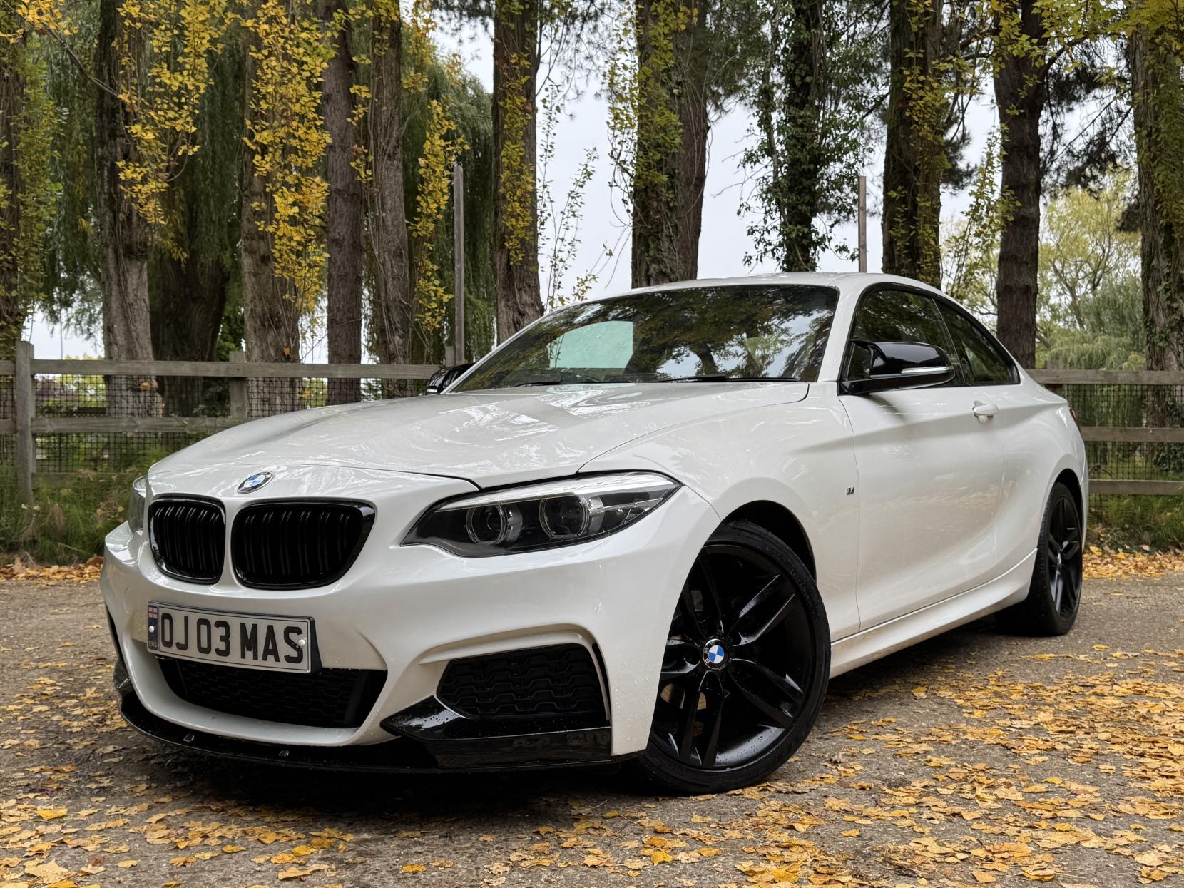 BMW 2 Series 1.5 218i M Sport Coupe 2dr Petrol Auto Euro 6 (s/s) (136 ps)