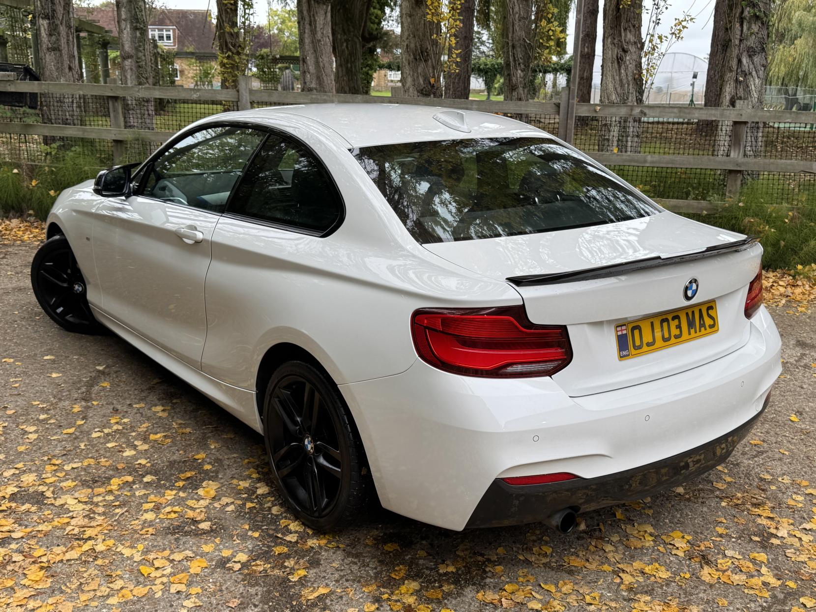 BMW 2 Series 1.5 218i M Sport Coupe 2dr Petrol Auto Euro 6 (s/s) (136 ps)
