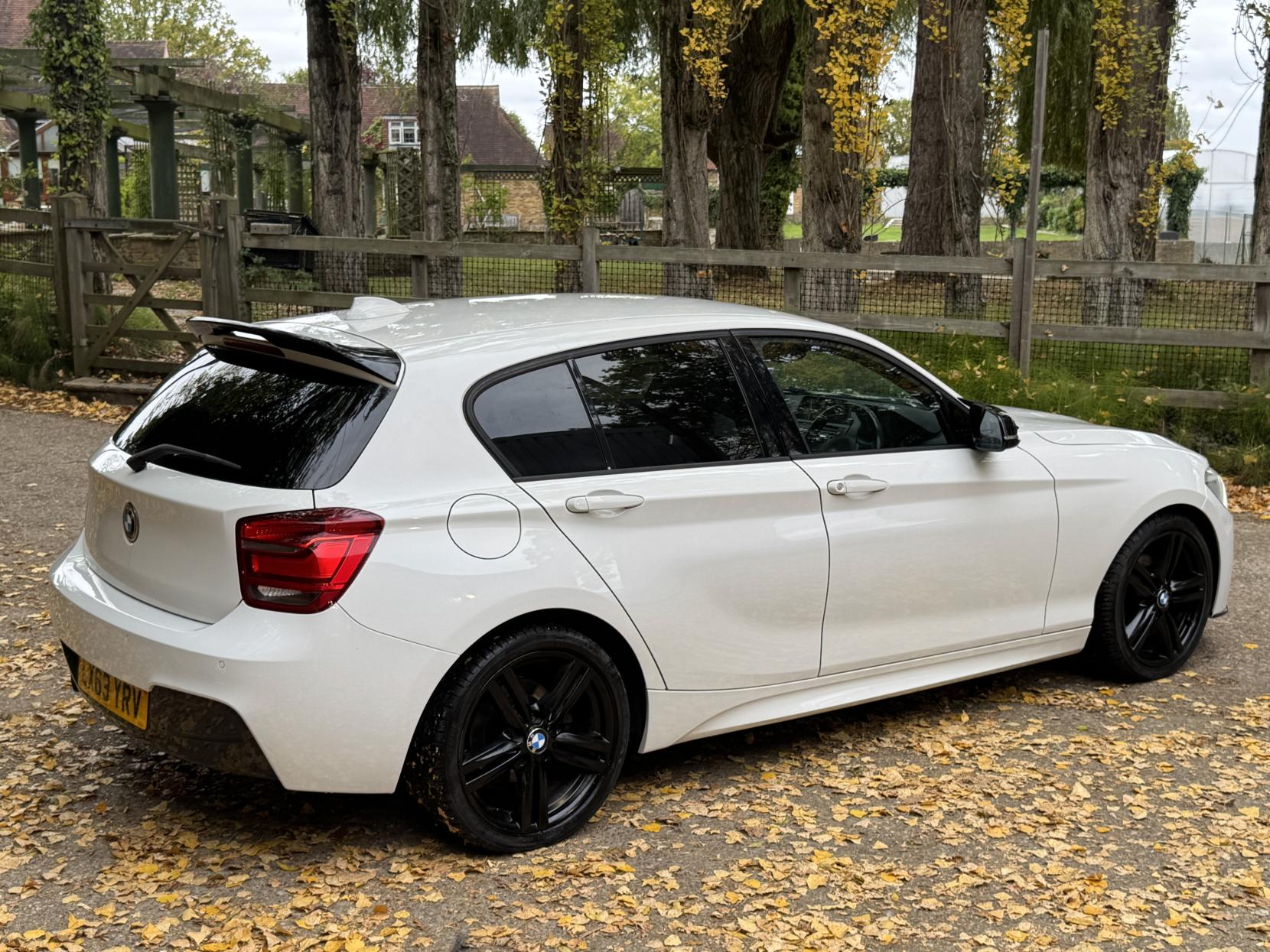 BMW 1 Series 1.6 118i M Sport Hatchback 5dr Petrol Manual Euro 6 (s/s) (170 ps)