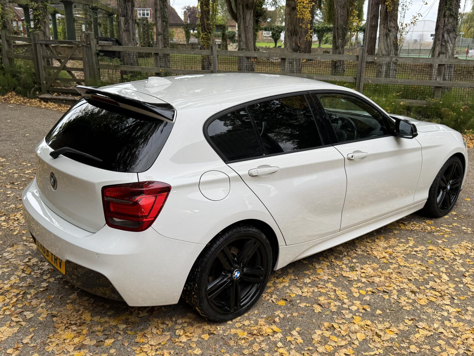 BMW 1 Series 1.6 118i M Sport Hatchback 5dr Petrol Manual Euro 6 (s/s) (170 ps)