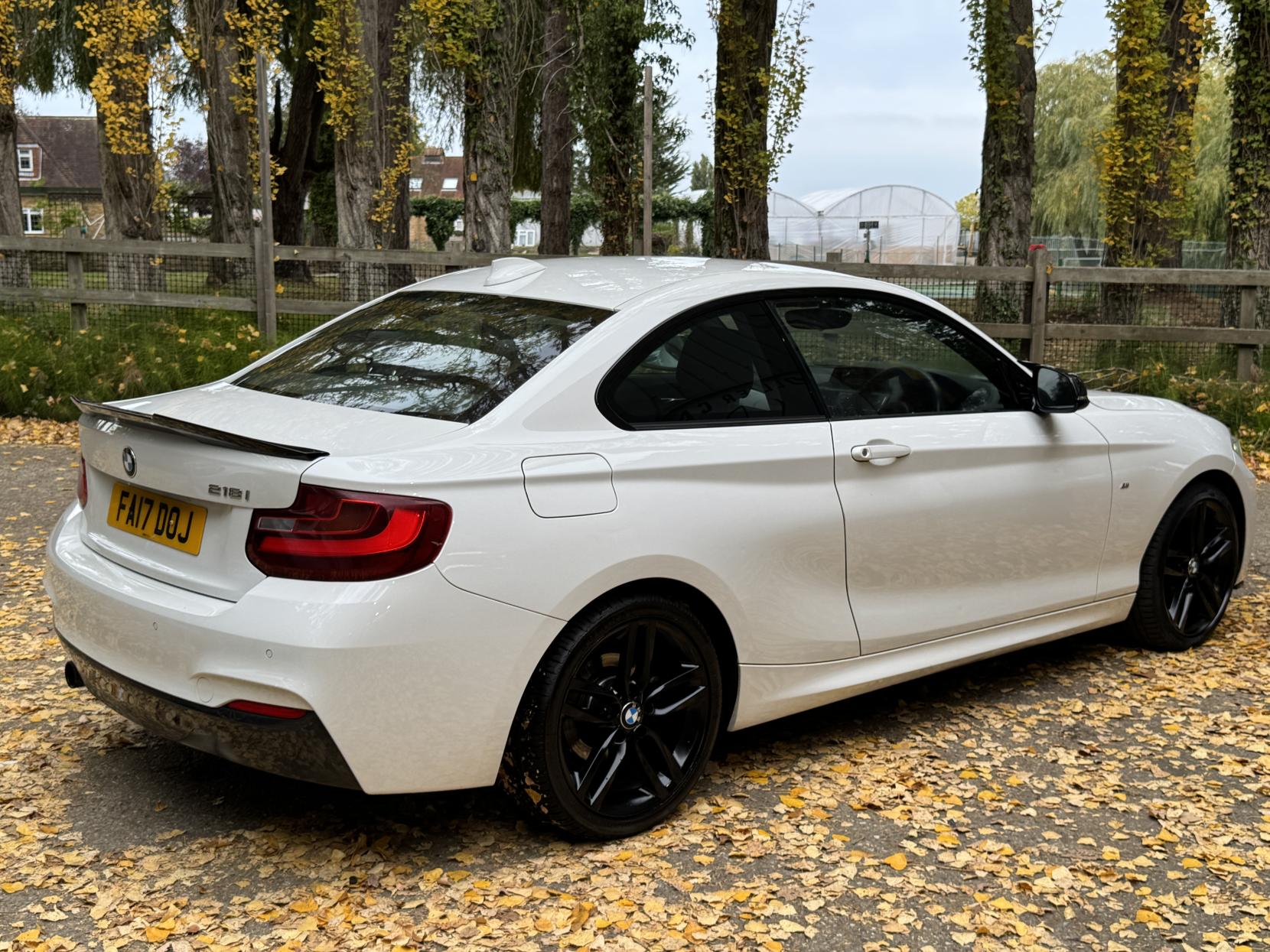 BMW 2 Series 1.5 218i M Sport Coupe 2dr Petrol Manual Euro 6 (s/s) (136 ps)