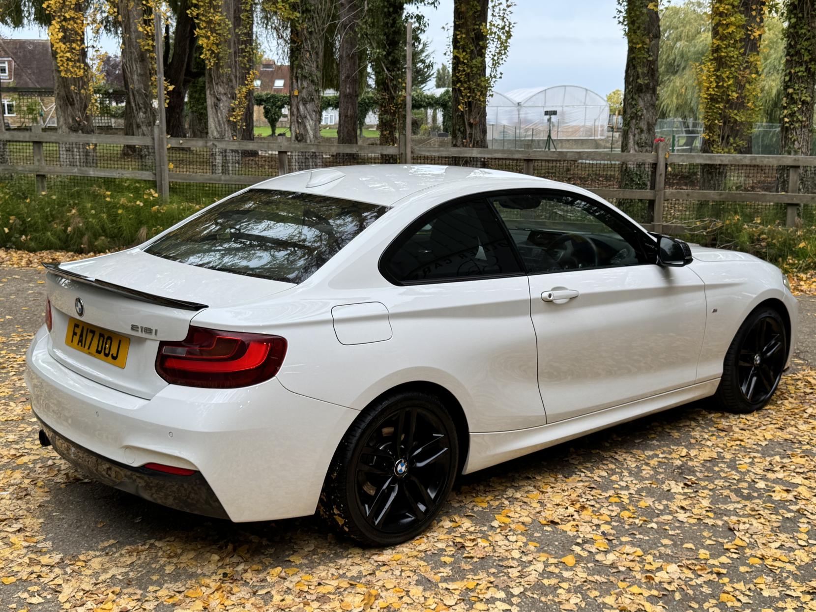 BMW 2 Series 1.5 218i M Sport Coupe 2dr Petrol Manual Euro 6 (s/s) (136 ps)