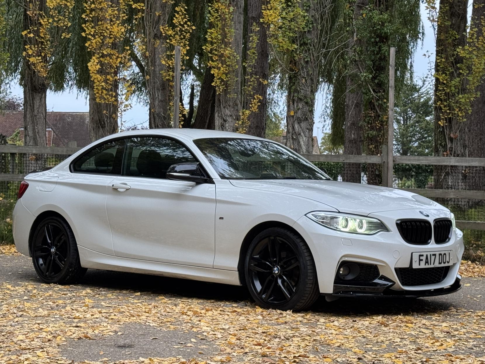 BMW 2 Series 1.5 218i M Sport Coupe 2dr Petrol Manual Euro 6 (s/s) (136 ps)