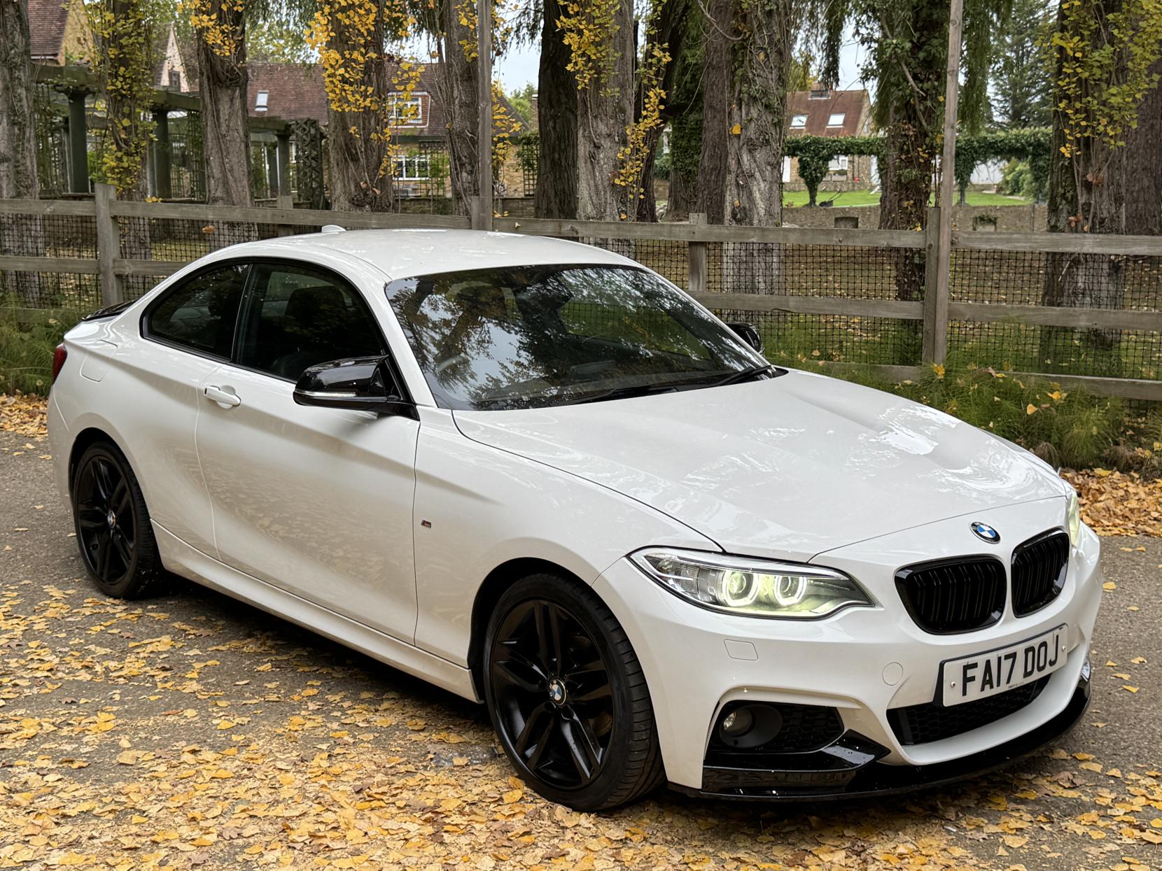 BMW 2 Series 1.5 218i M Sport Coupe 2dr Petrol Manual Euro 6 (s/s) (136 ps)