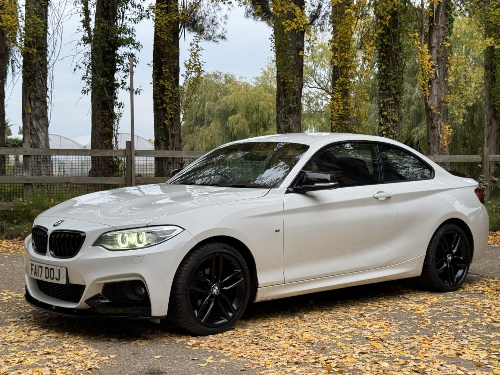 BMW 2 Series 1.5 218i M Sport Coupe 2dr Petrol Manual Euro 6 (s/s) (136 ps)