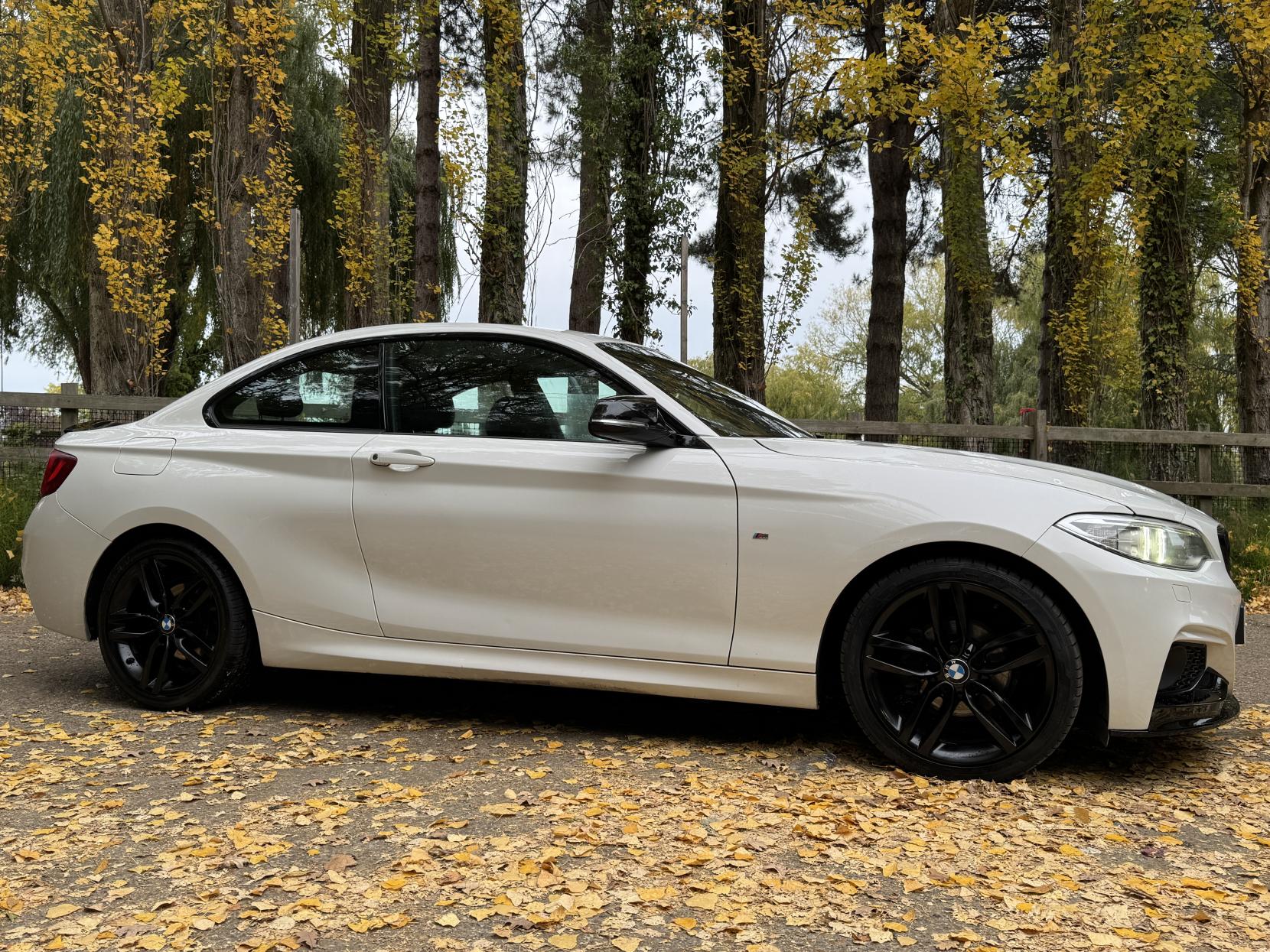 BMW 2 Series 1.5 218i M Sport Coupe 2dr Petrol Manual Euro 6 (s/s) (136 ps)