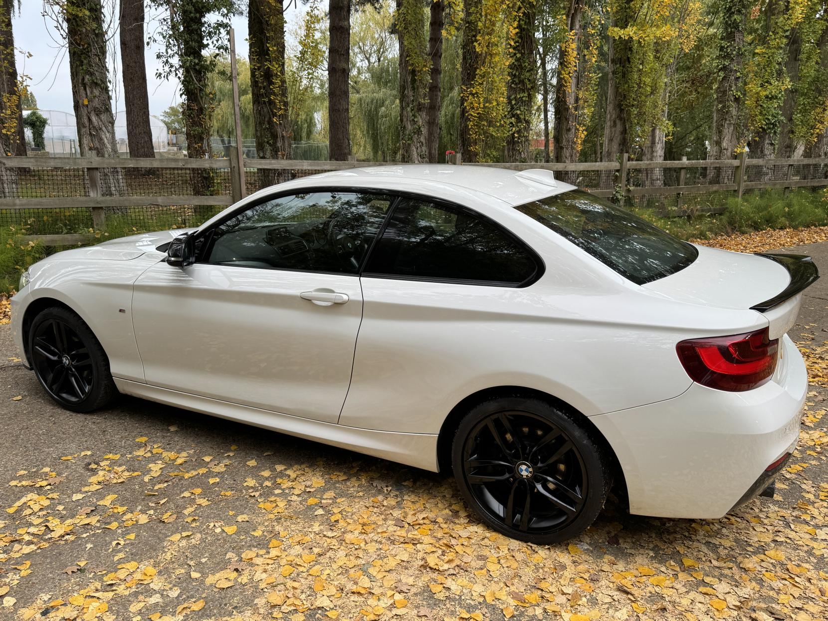 BMW 2 Series 1.5 218i M Sport Coupe 2dr Petrol Manual Euro 6 (s/s) (136 ps)