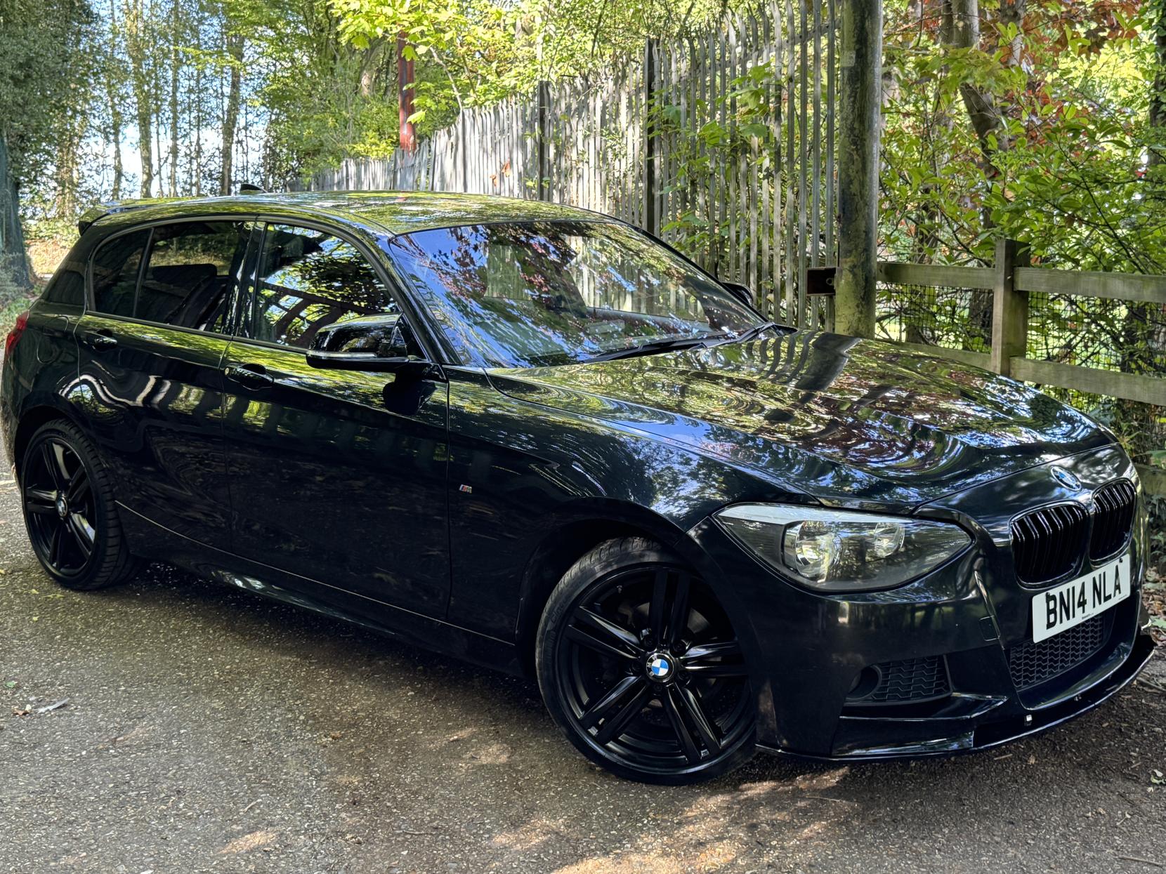 BMW 1 Series 1.6 116i M Sport Hatchback 5dr Petrol Manual Euro 6 (s/s) (136 ps)
