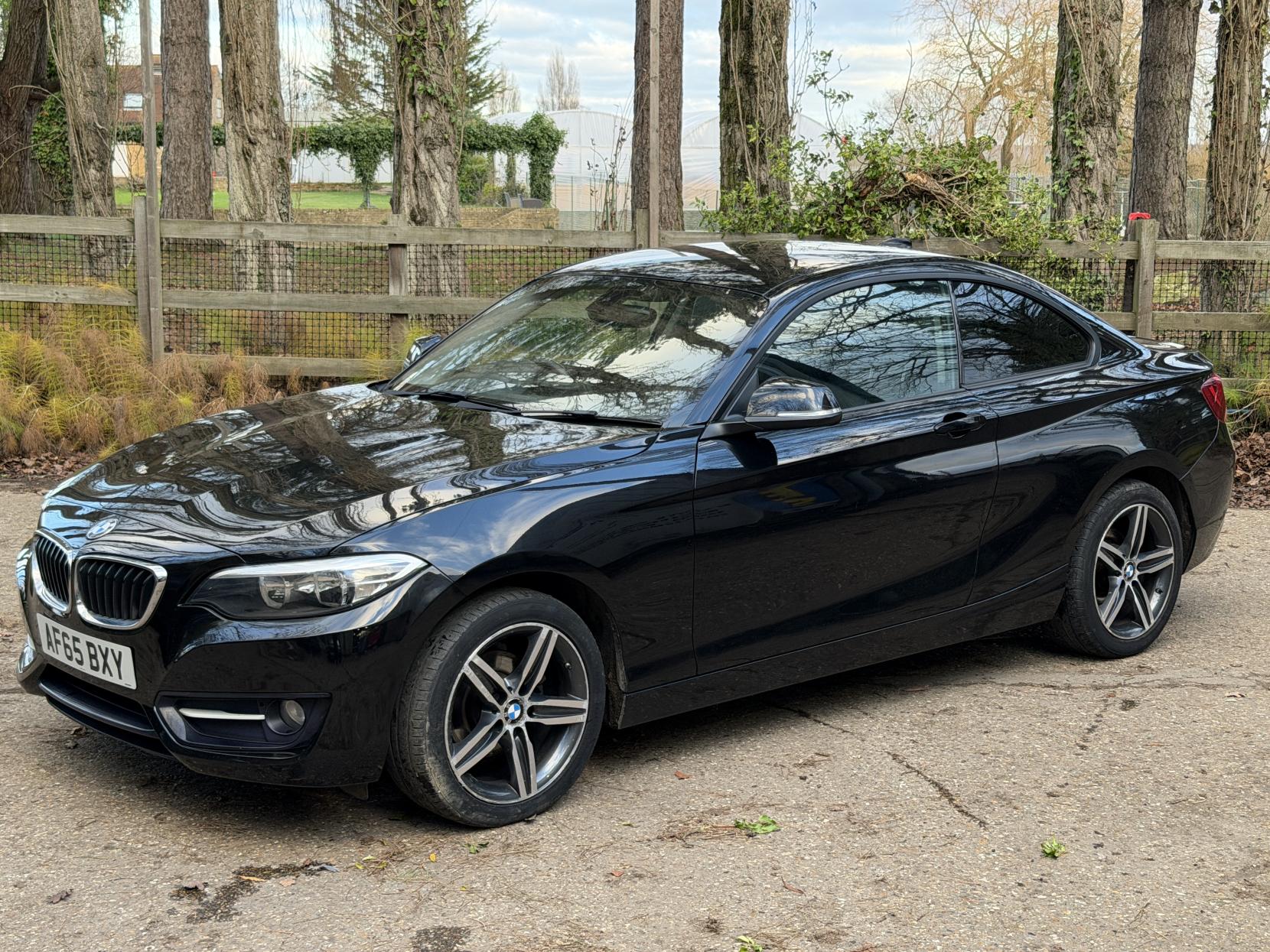 BMW 2 Series 1.5 218i Sport Coupe 2dr Petrol Manual Euro 6 (s/s) (136 ps)