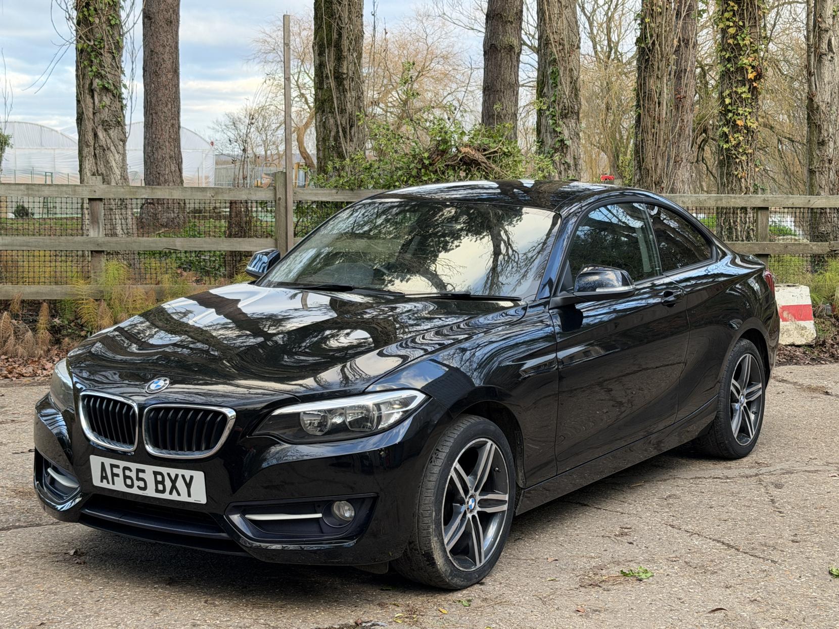 BMW 2 Series 1.5 218i Sport Coupe 2dr Petrol Manual Euro 6 (s/s) (136 ps)