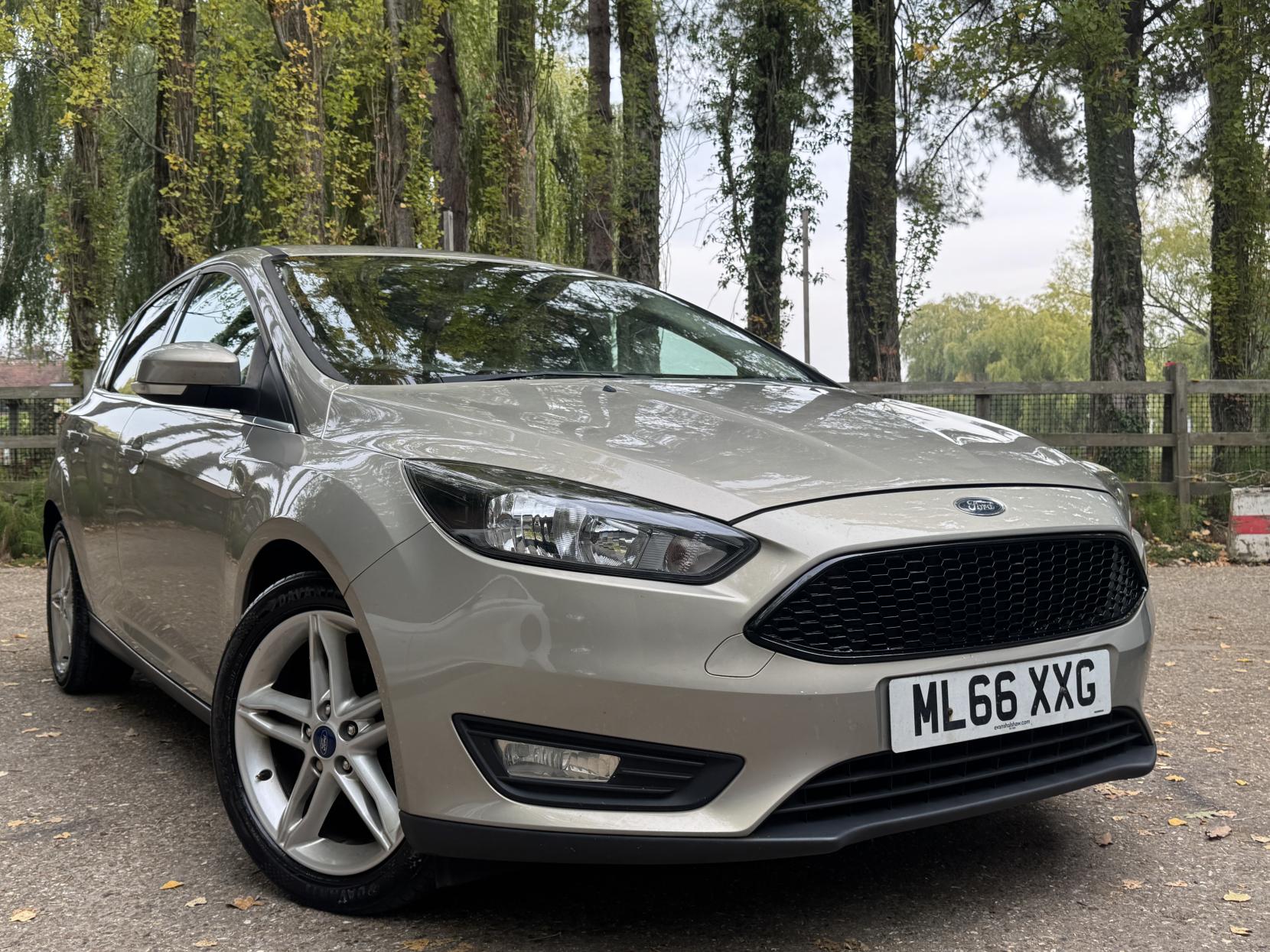 Ford Focus 1.0T EcoBoost Zetec Hatchback 5dr Petrol Manual Euro 6 (s/s) (100 ps)