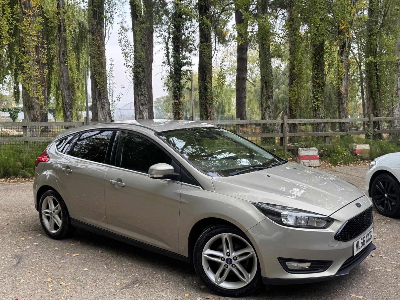 Ford Focus 1.0T EcoBoost Zetec Hatchback 5dr Petrol Manual Euro 6 (s/s) (100 ps)