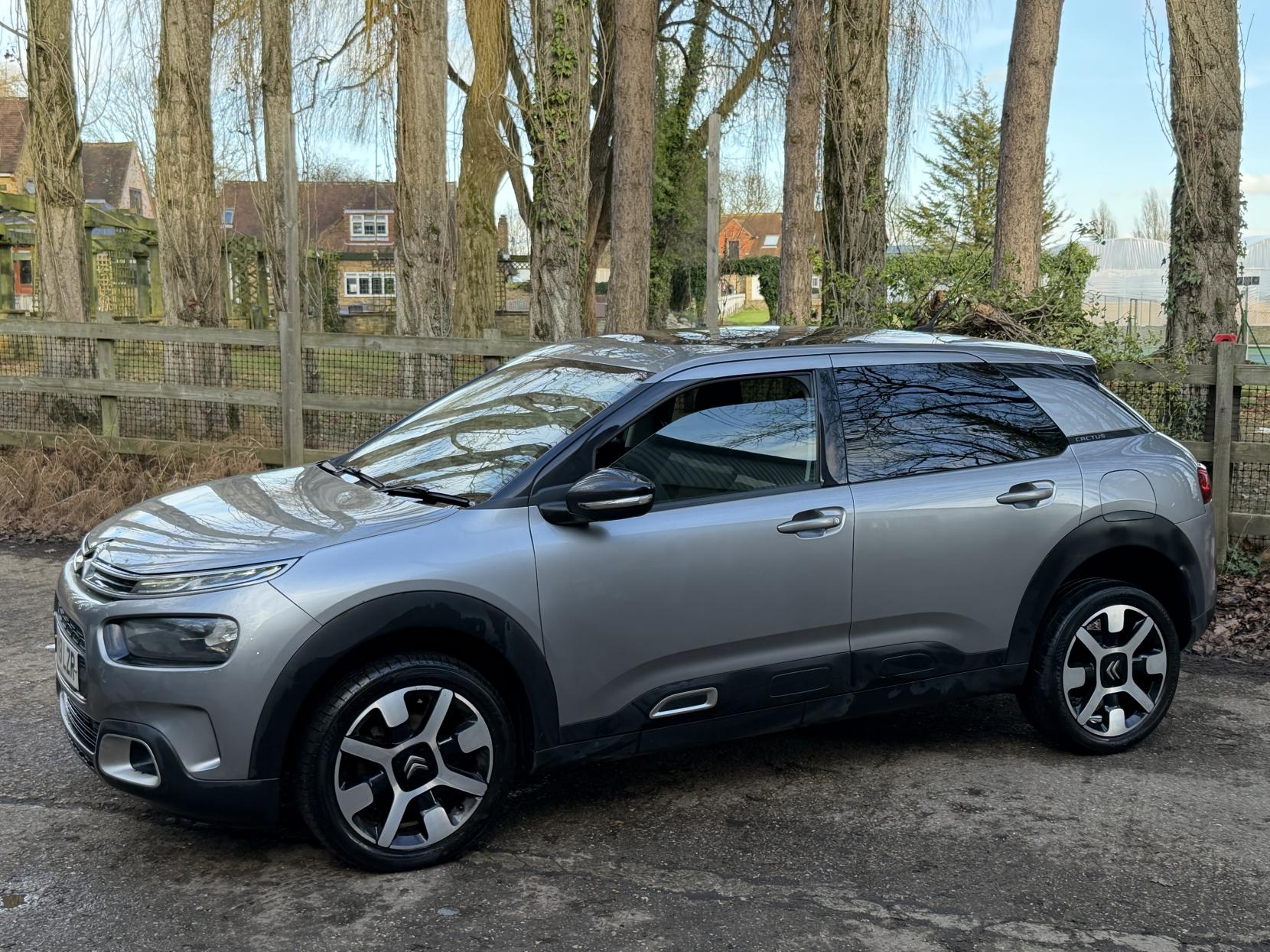 Citroen C4 Cactus 1.2 PureTech GPF Flair Hatchback 5dr Petrol Manual Euro 6 (s/s) (110 ps)