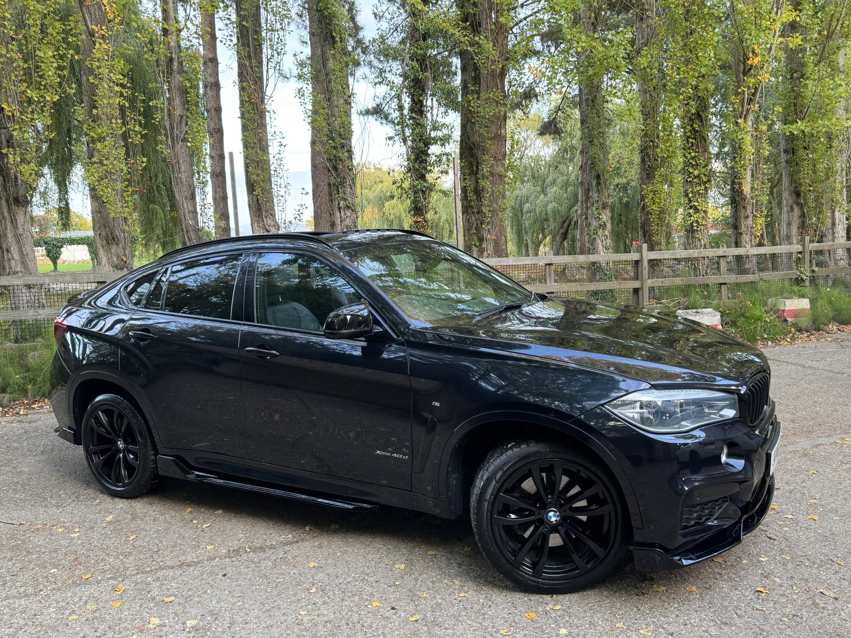 BMW X6 3.0 40d M Sport SUV 5dr Diesel Auto xDrive Euro 6 (s/s) (313 ps)