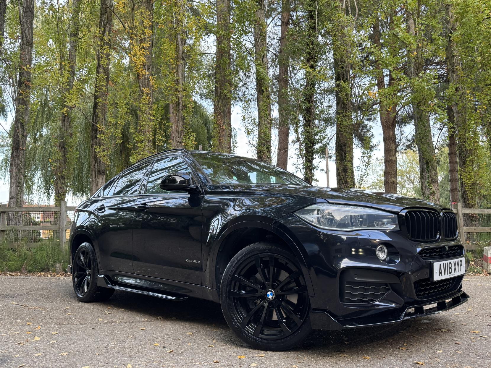 BMW X6 3.0 40d M Sport SUV 5dr Diesel Auto xDrive Euro 6 (s/s) (313 ps)