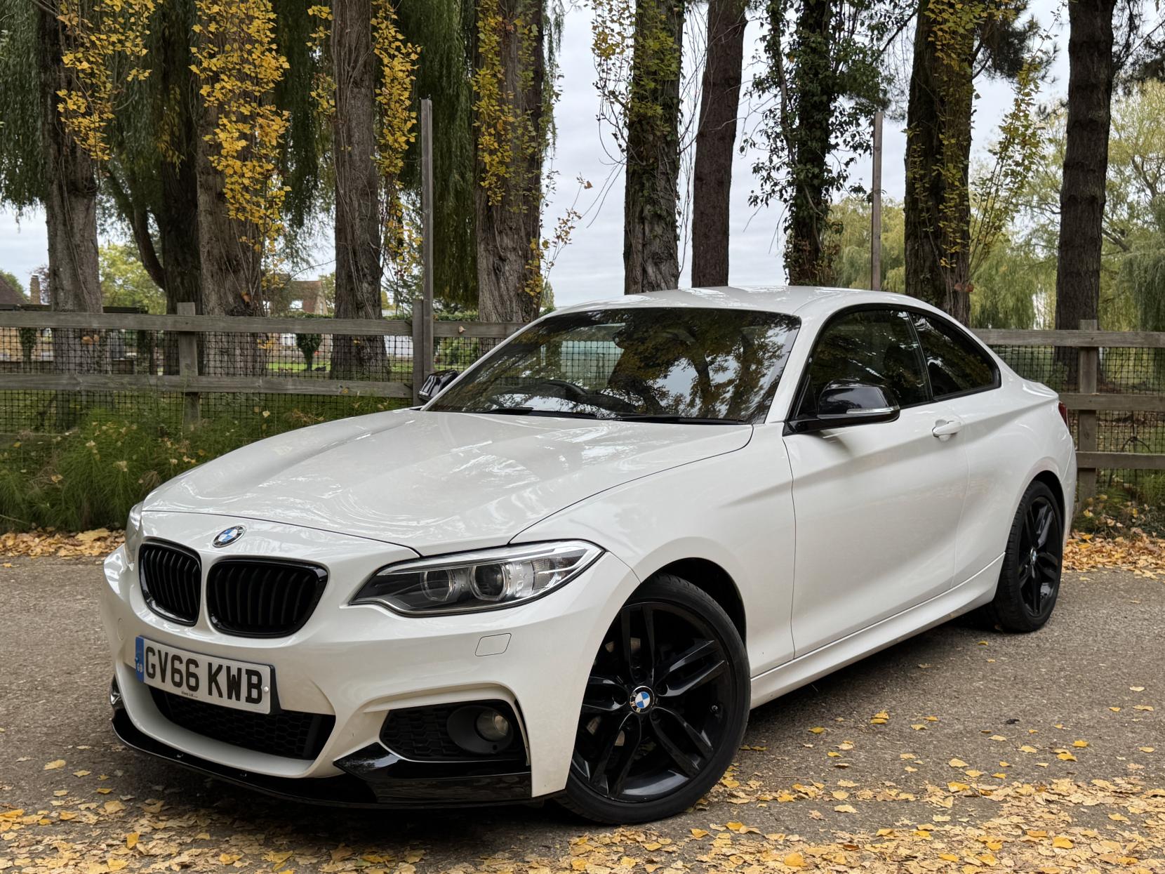 BMW 2 Series 1.5 218i M Sport Coupe 2dr Petrol Manual Euro 6 (s/s) (136 ps)