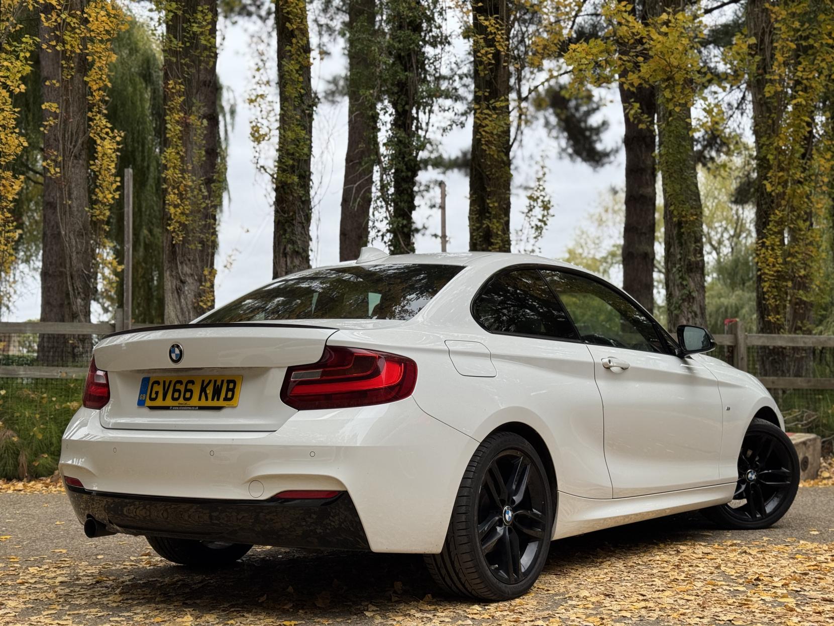 BMW 2 Series 1.5 218i M Sport Coupe 2dr Petrol Manual Euro 6 (s/s) (136 ps)