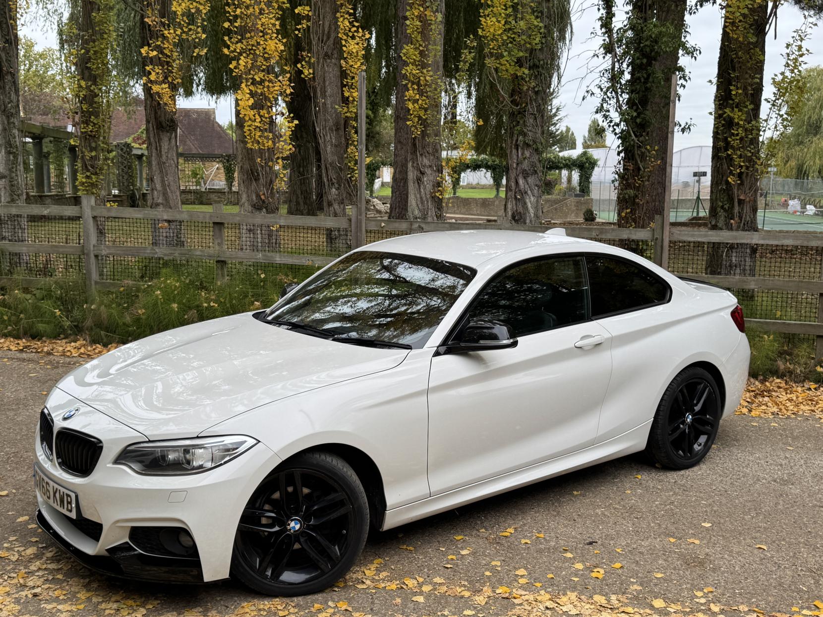 BMW 2 Series 1.5 218i M Sport Coupe 2dr Petrol Manual Euro 6 (s/s) (136 ps)