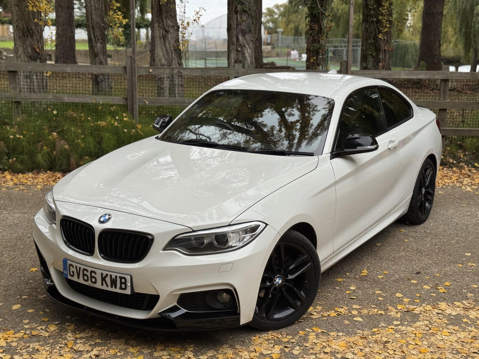 BMW 2 Series 1.5 218i M Sport Coupe 2dr Petrol Manual Euro 6 (s/s) (136 ps)