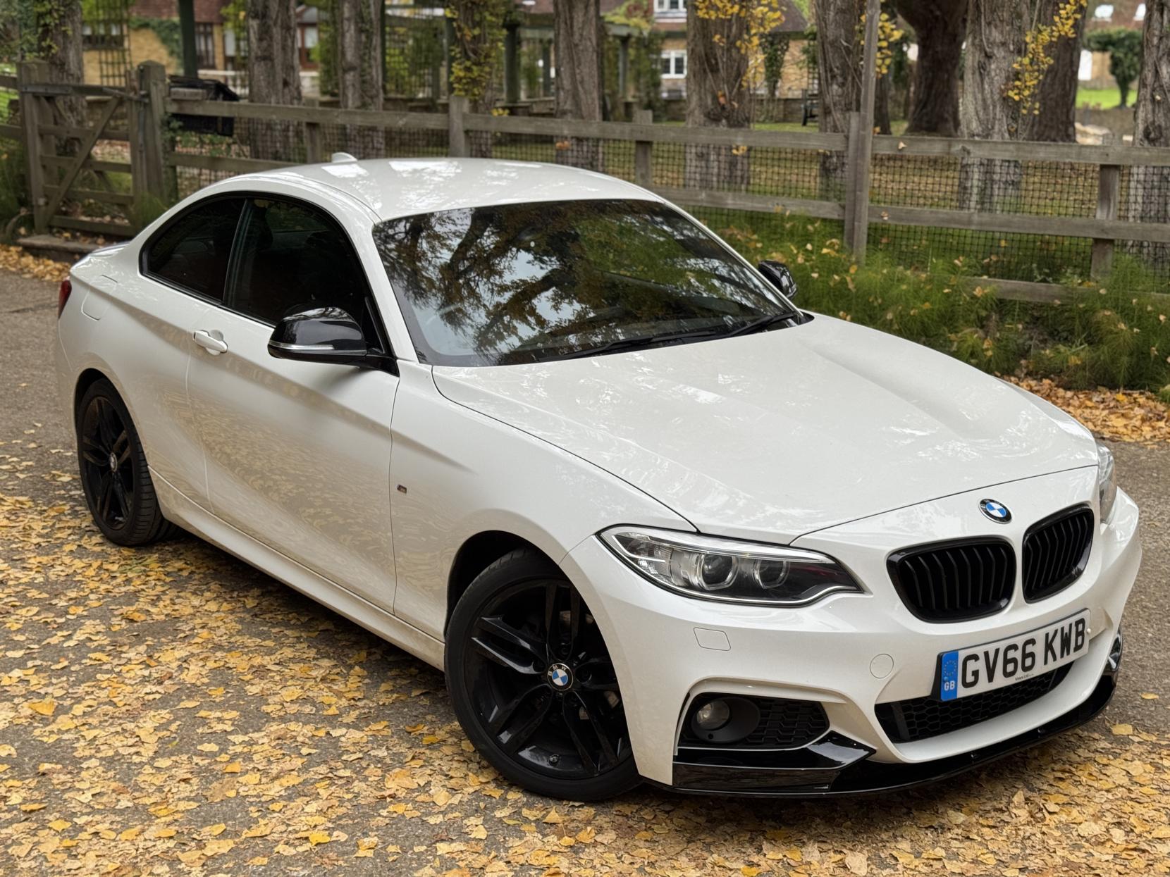 BMW 2 Series 1.5 218i M Sport Coupe 2dr Petrol Manual Euro 6 (s/s) (136 ps)