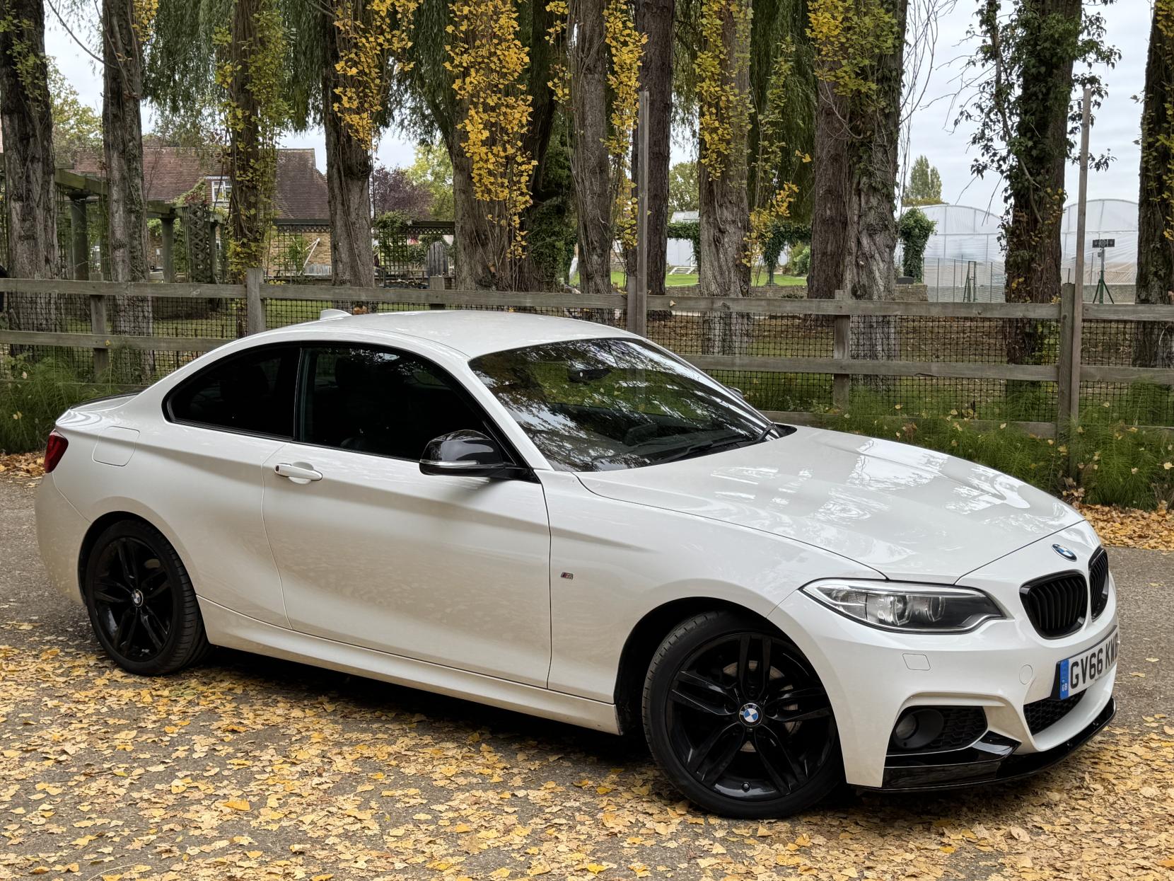 BMW 2 Series 1.5 218i M Sport Coupe 2dr Petrol Manual Euro 6 (s/s) (136 ps)
