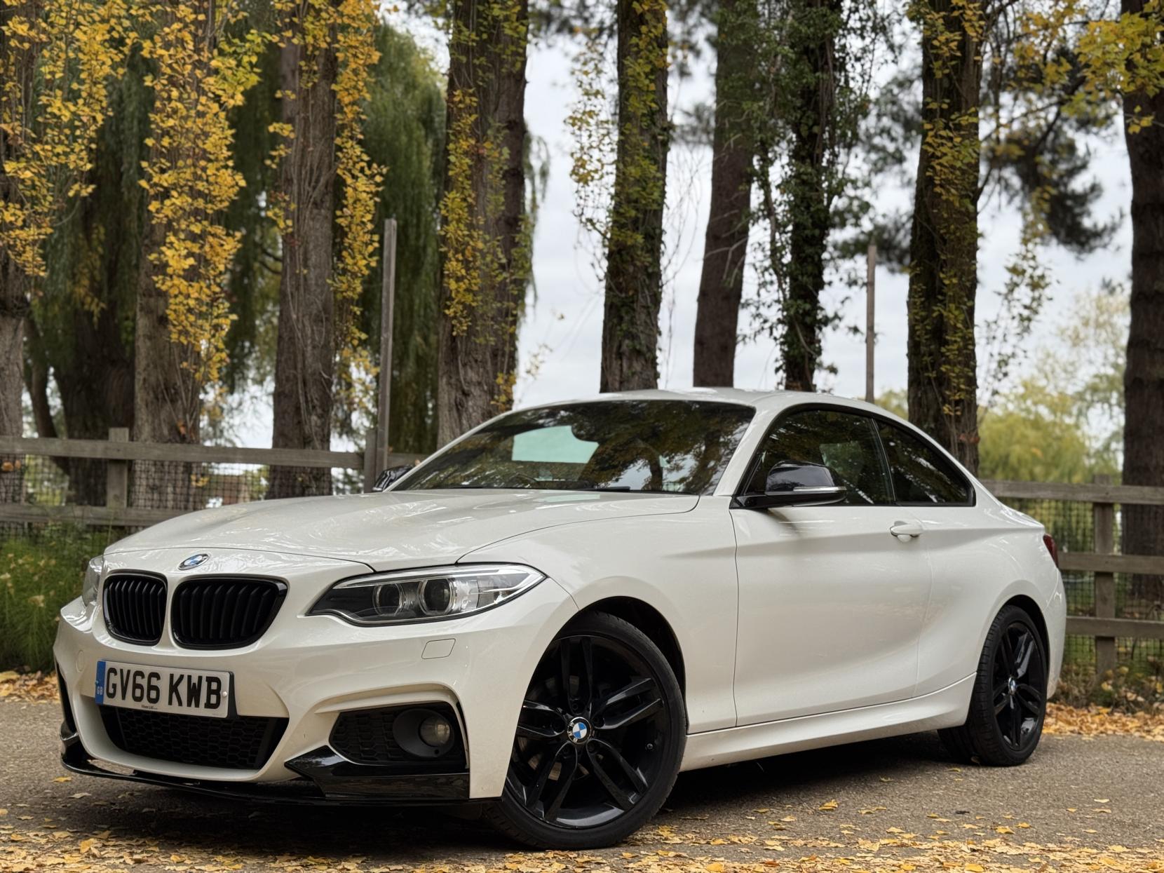 BMW 2 Series 1.5 218i M Sport Coupe 2dr Petrol Manual Euro 6 (s/s) (136 ps)