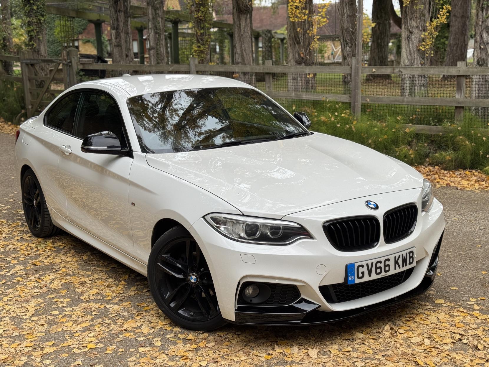 BMW 2 Series 1.5 218i M Sport Coupe 2dr Petrol Manual Euro 6 (s/s) (136 ps)