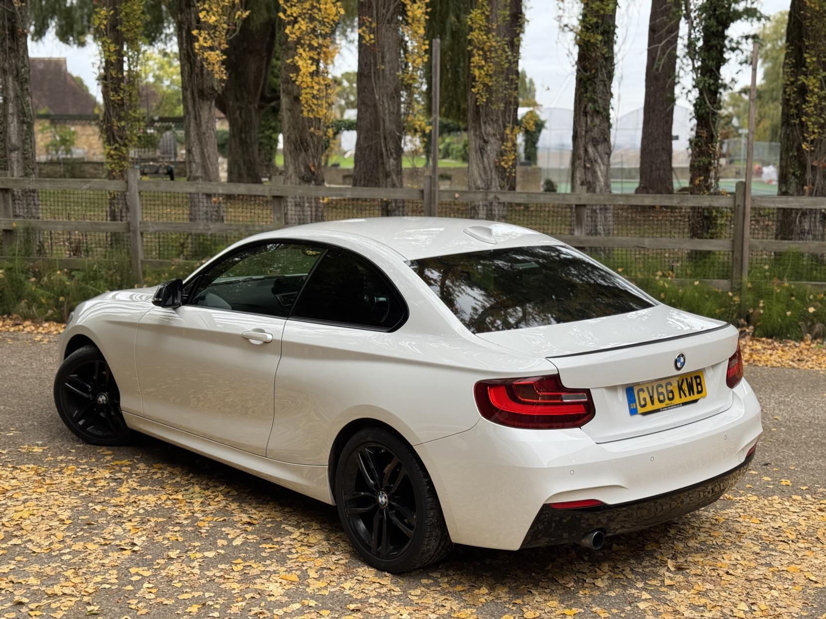 BMW 2 Series 1.5 218i M Sport Coupe 2dr Petrol Manual Euro 6 (s/s) (136 ps)