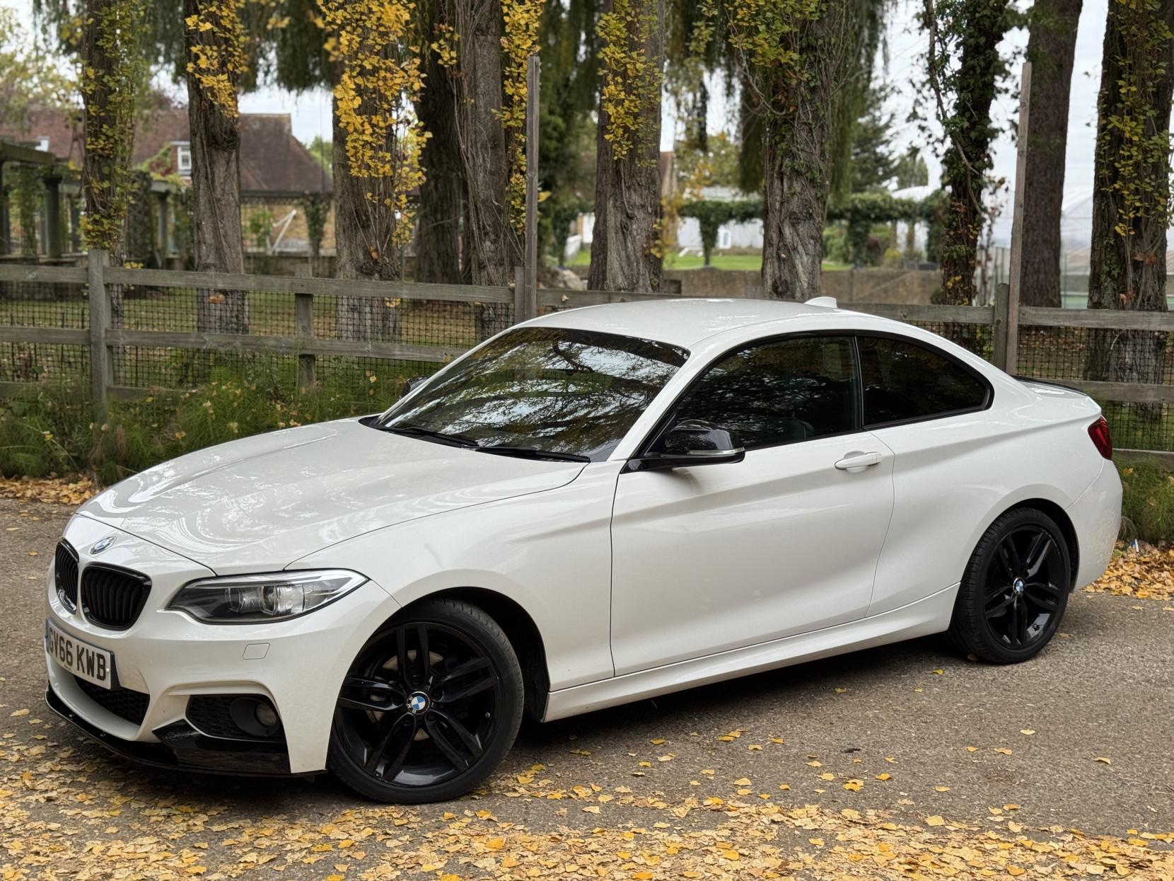BMW 2 Series 1.5 218i M Sport Coupe 2dr Petrol Manual Euro 6 (s/s) (136 ps)