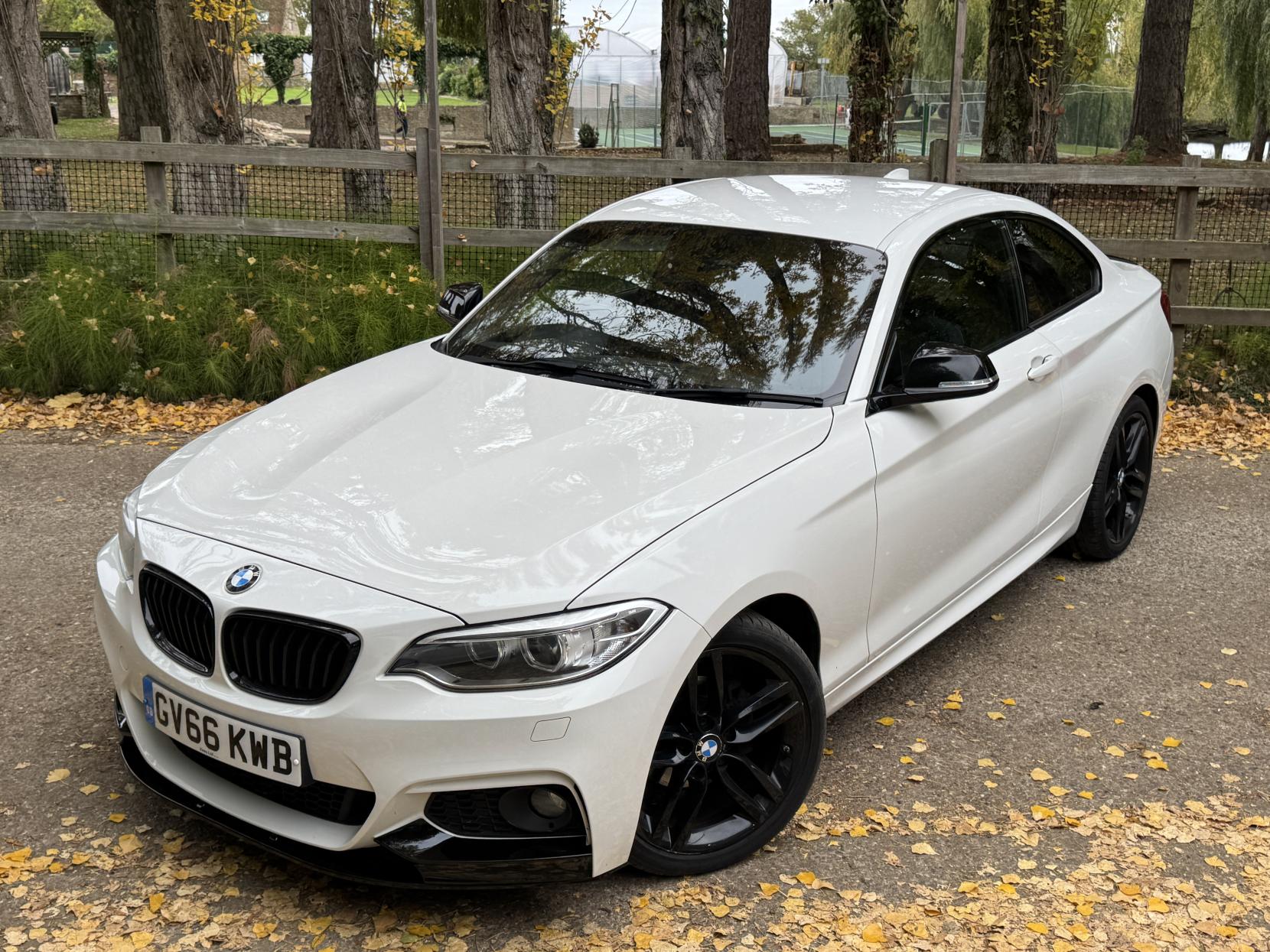 BMW 2 Series 1.5 218i M Sport Coupe 2dr Petrol Manual Euro 6 (s/s) (136 ps)