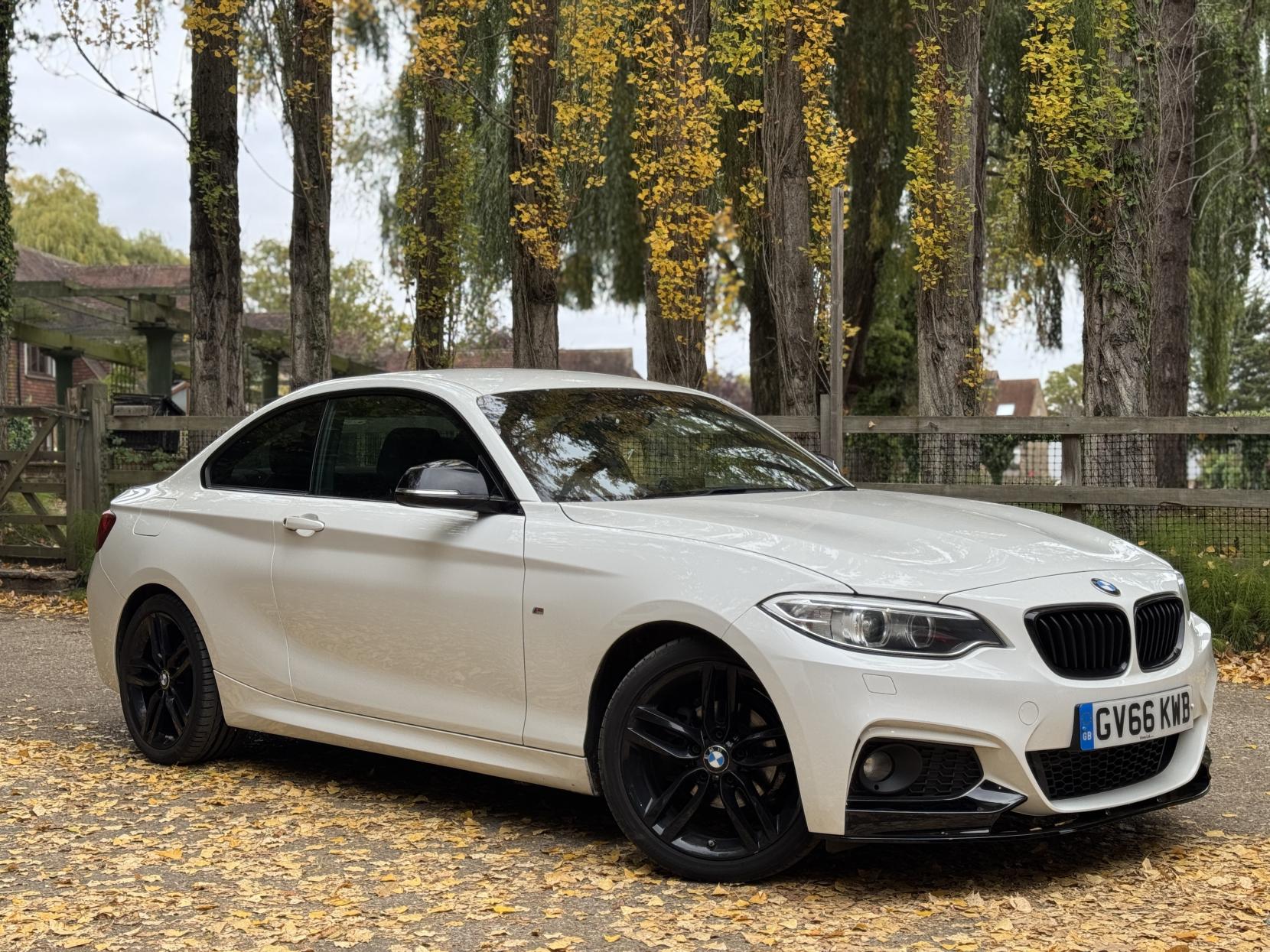 BMW 2 Series 1.5 218i M Sport Coupe 2dr Petrol Manual Euro 6 (s/s) (136 ps)