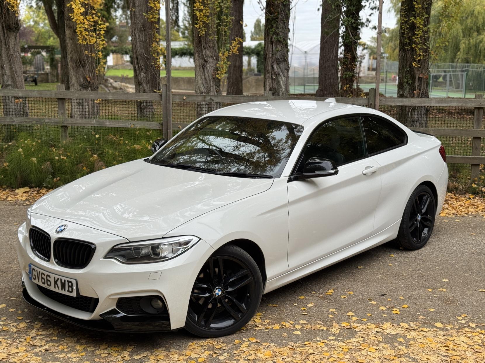 BMW 2 Series 1.5 218i M Sport Coupe 2dr Petrol Manual Euro 6 (s/s) (136 ps)
