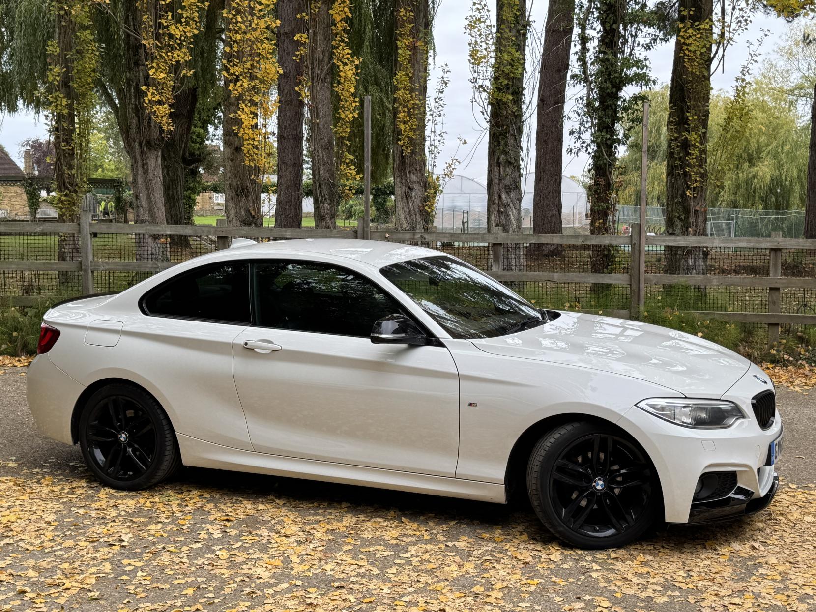 BMW 2 Series 1.5 218i M Sport Coupe 2dr Petrol Manual Euro 6 (s/s) (136 ps)