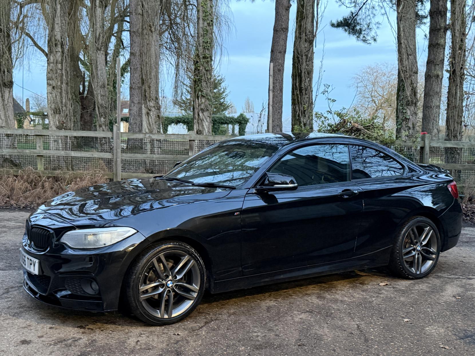 BMW 2 Series 1.5 218i M Sport Coupe 2dr Petrol Manual Euro 6 (s/s) (136 ps)