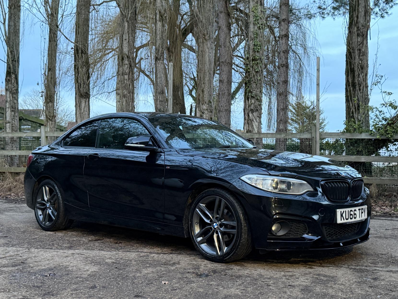 BMW 2 Series 1.5 218i M Sport Coupe 2dr Petrol Manual Euro 6 (s/s) (136 ps)