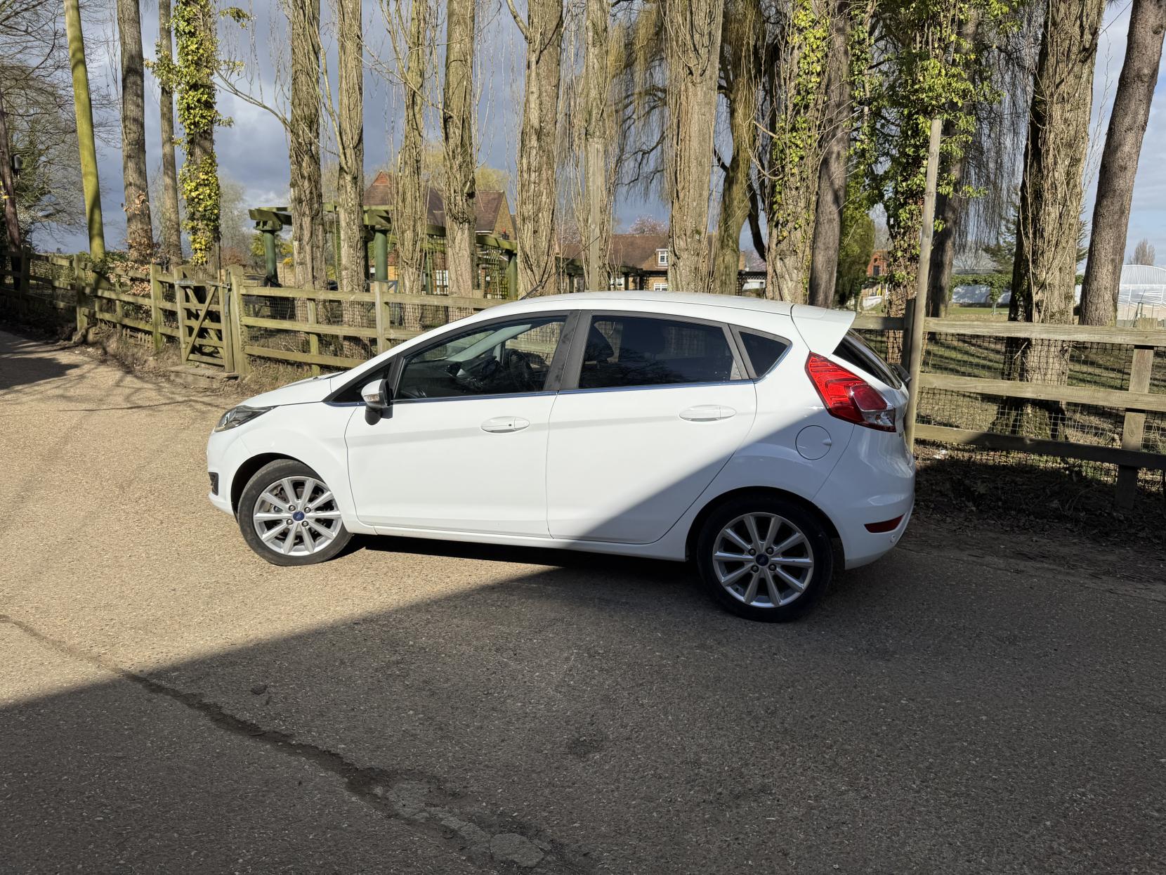 Ford Fiesta 1.0T EcoBoost Titanium Hatchback 5dr Petrol Manual Euro 6 (s/s) (100 ps)