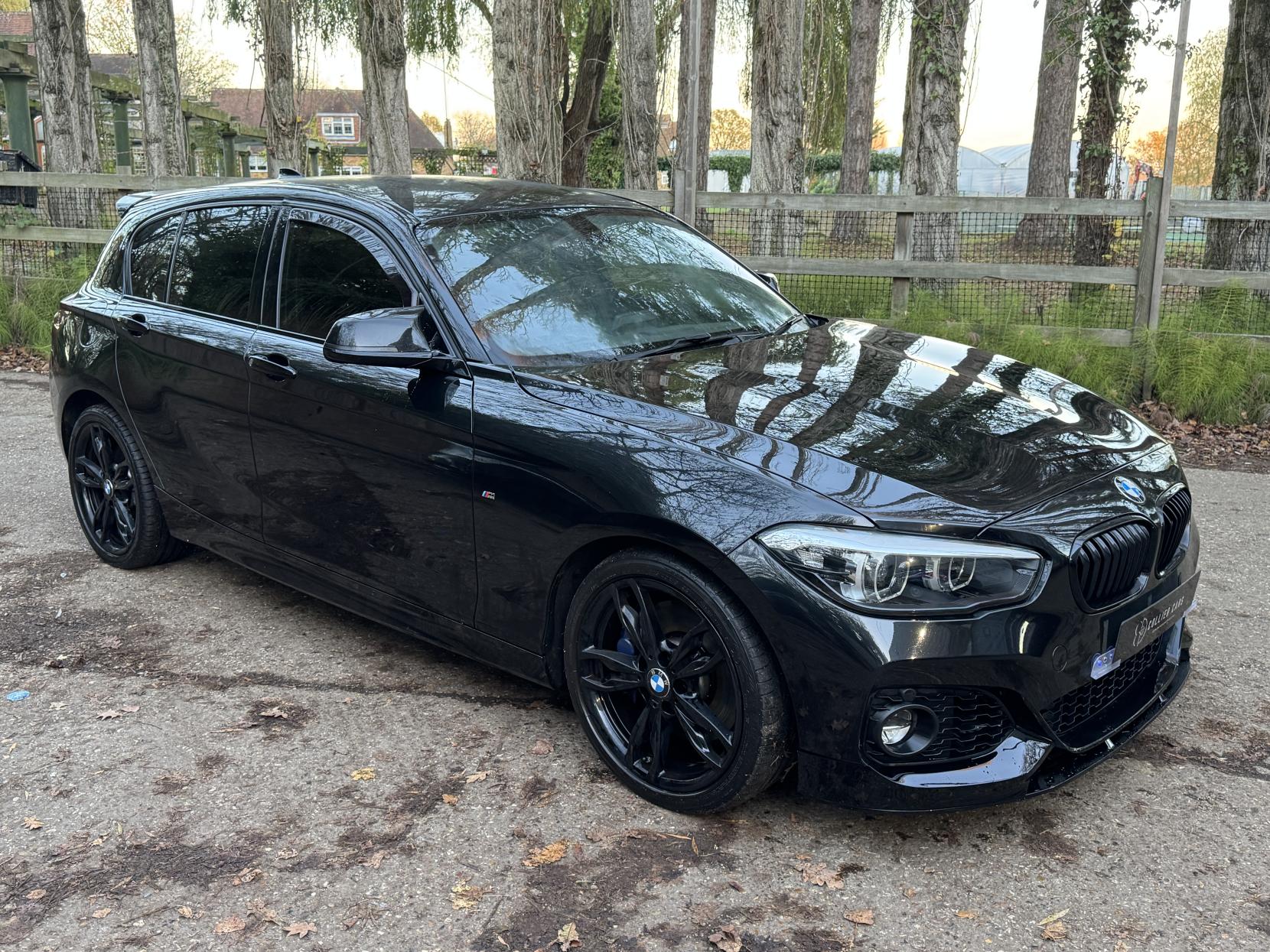 BMW 1 Series 1.5 118i GPF M Sport Shadow Edition Hatchback 5dr Petrol Manual Euro 6 (s/s) (136 ps)