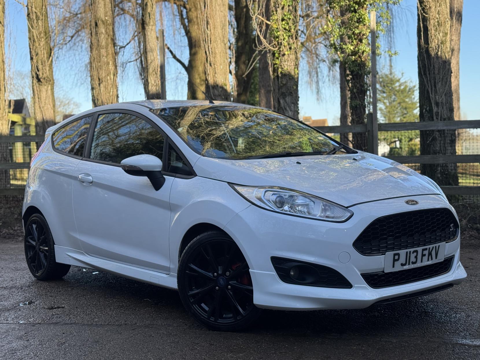 Ford Fiesta 1.0T EcoBoost Zetec S Hatchback 3dr Petrol Manual Euro 5 (s/s) (125 ps)