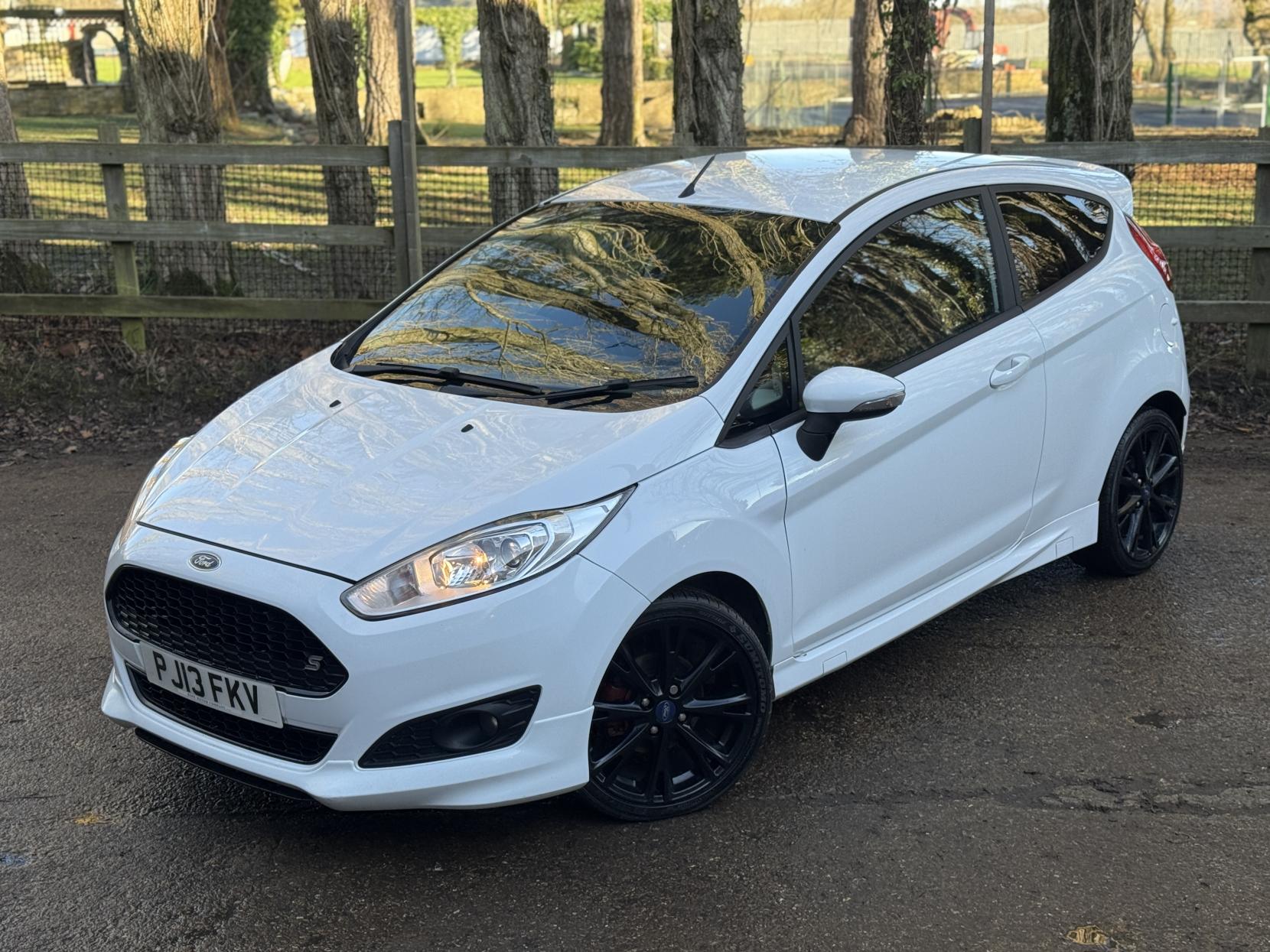 Ford Fiesta 1.0T EcoBoost Zetec S Hatchback 3dr Petrol Manual Euro 5 (s/s) (125 ps)